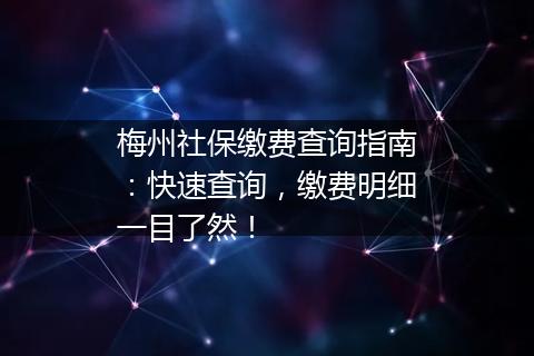 梅州社保缴费查询指南：快速查询，缴费明细一目了然！