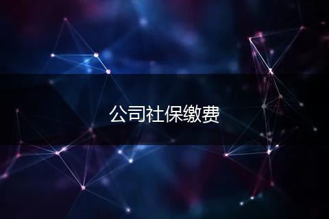 公司社保缴费