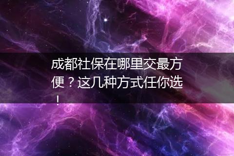 成都社保在哪里交最方便？这几种方式任你选！