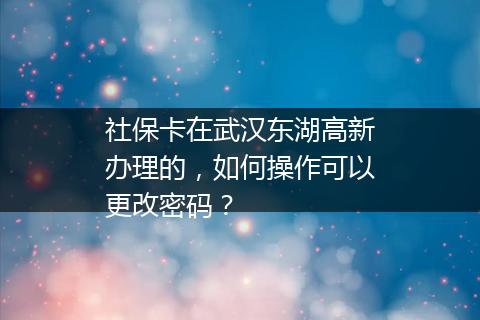 社保卡在武汉东湖高新办理的，如何操作可以更改密码？
