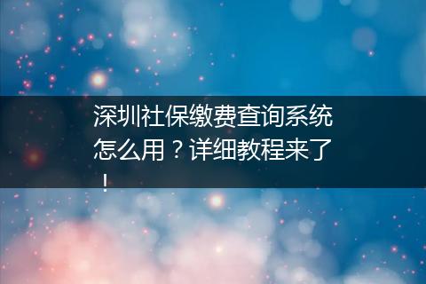 深圳社保缴费查询系统怎么用？详细教程来了！