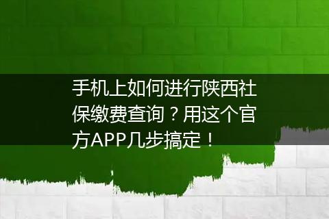手机上如何进行陕西社保缴费查询？用这个官方APP几步搞定！