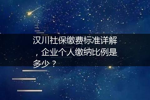 汉川社保缴费标准详解，企业个人缴纳比例是多少？