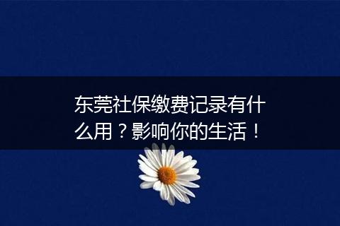 东莞社保缴费记录有什么用？影响你的生活！