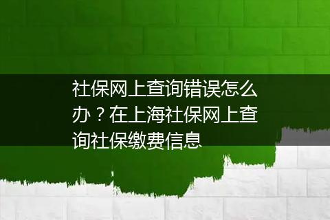 社保网上查询错误怎么办？在上海社保网上查询社保缴费信息