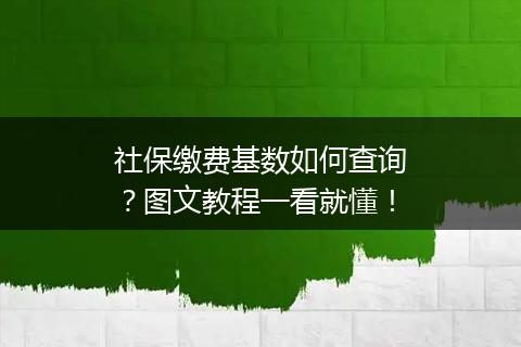 社保缴费基数如何查询？图文教程一看就懂！