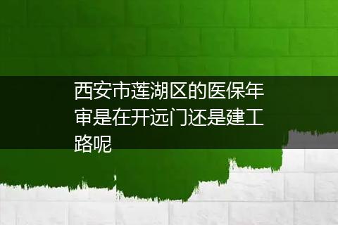 西安市莲湖区的医保年审是在开远门还是建工路呢