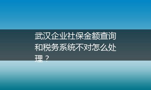 武汉企业社保金额查询和税务系统不对怎么处理？