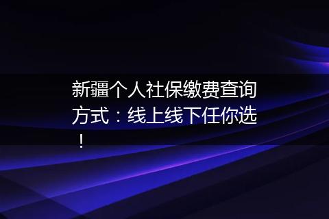 新疆个人社保缴费查询方式：线上线下任你选！