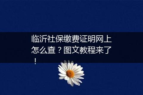 临沂社保缴费证明网上怎么查？图文教程来了！
