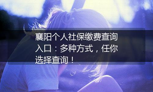 襄阳个人社保缴费查询入口：多种方式，任你选择查询！