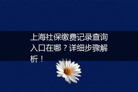 上海社保缴费记录查询入口在哪？详细步骤解析！