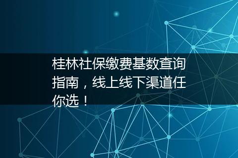 桂林社保缴费基数查询指南，线上线下渠道任你选！