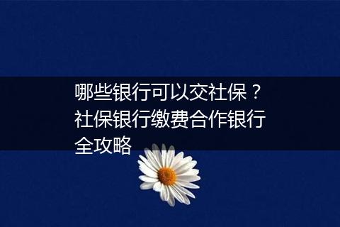 哪些银行可以交社保？社保银行缴费合作银行全攻略