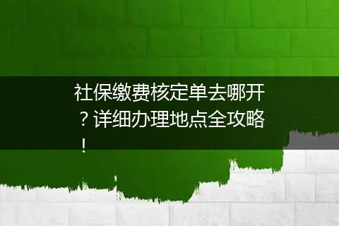 社保缴费核定单去哪开？详细办理地点全攻略！
