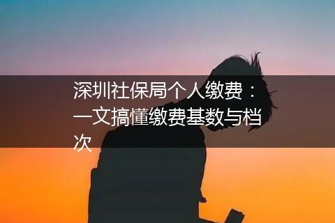 深圳社保局个人缴费：一文搞懂缴费基数与档次