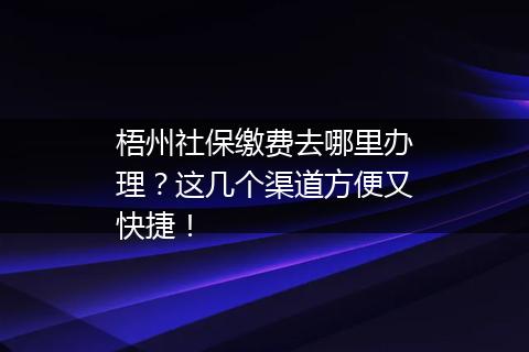 梧州社保缴费去哪里办理？这几个渠道方便又快捷！