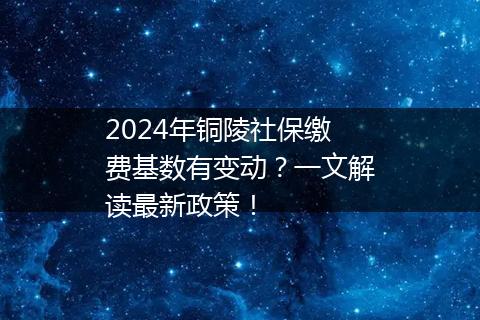 2024年铜陵社保缴费基数有变动？一文解读最新政策！