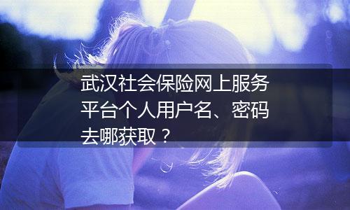 武汉社会保险网上服务平台个人用户名、密码去哪获取？