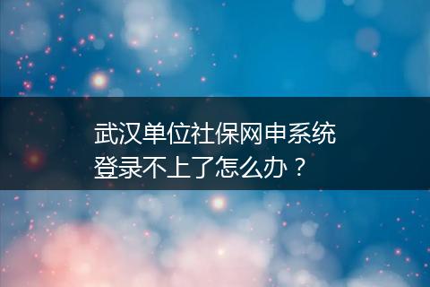 武汉单位社保网申系统登录不上了怎么办？
