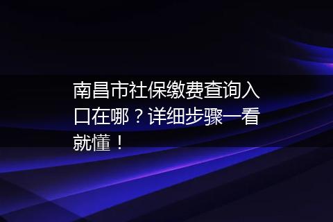 南昌市社保缴费查询入口在哪？详细步骤一看就懂！