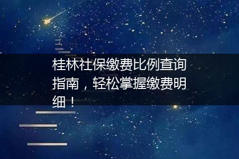 桂林社保缴费比例查询指南，轻松掌握缴费明细！