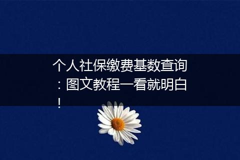 个人社保缴费基数查询：图文教程一看就明白！