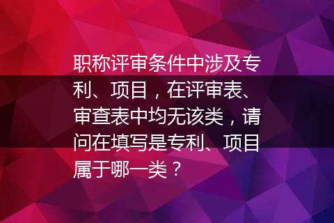职称评审条件中涉及专利、项目，在评审表、审查表中均无该类，请问在填写是专利、项目属于哪一类？