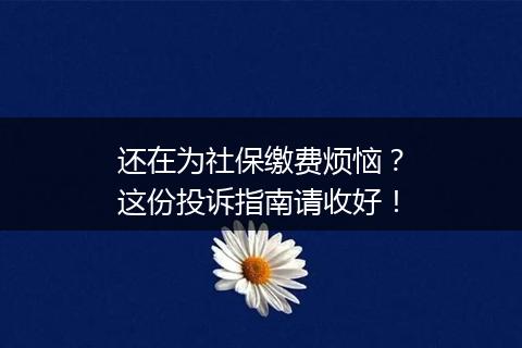还在为社保缴费烦恼？这份投诉指南请收好！