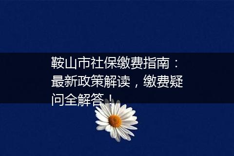 鞍山市社保缴费指南：最新政策解读，缴费疑问全解答！