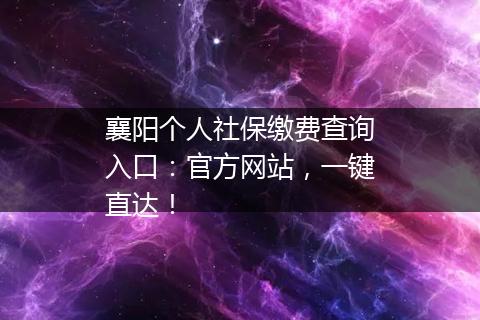 襄阳个人社保缴费查询入口：官方网站，一键直达！