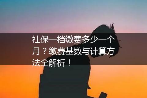 社保一档缴费多少一个月？缴费基数与计算方法全解析！