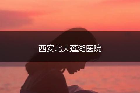 西安北大莲湖医院