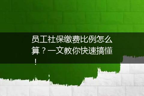 员工社保缴费比例怎么算？一文教你快速搞懂！