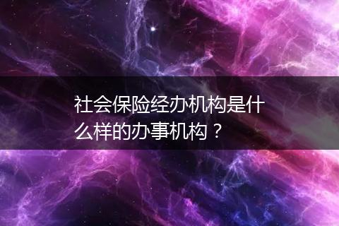 社会保险经办机构是什么样的办事机构？