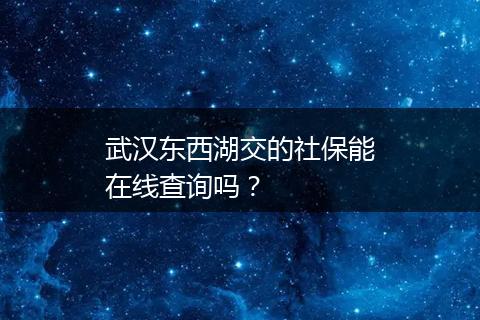 武汉东西湖交的社保能在线查询吗？