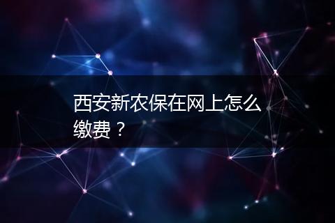 西安新农保在网上怎么缴费？