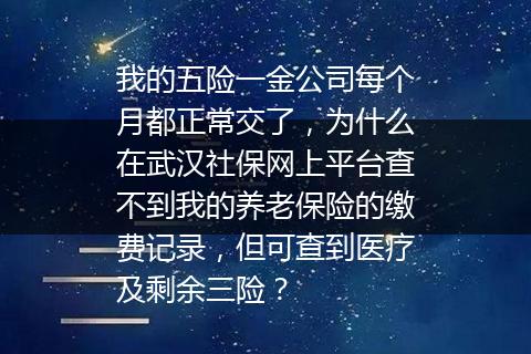 我的五险一金公司每个月都正常交了，为什么在武汉社保网上平台查不到我的养老保险的缴费记录，但可查到医疗及剩余三险？