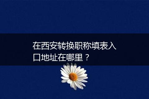 在西安转换职称填表入口地址在哪里？