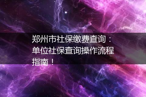 郑州市社保缴费查询：单位社保查询操作流程指南！