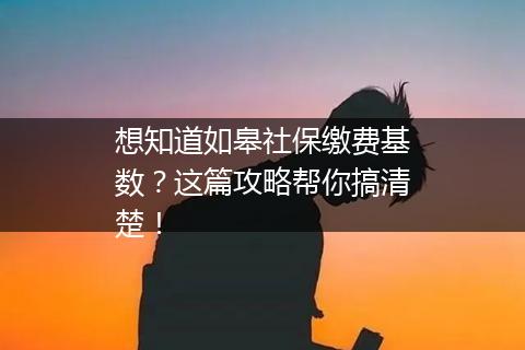 想知道如皋社保缴费基数？这篇攻略帮你搞清楚！