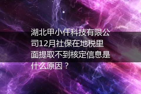 湖北甲小仟科技有限公司12月社保在地税里面提取不到核定信息是什么原因？