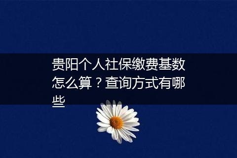 贵阳个人社保缴费基数怎么算？查询方式有哪些