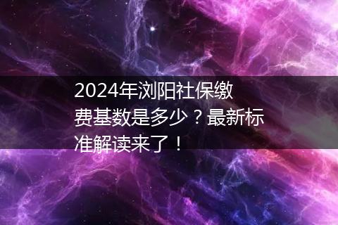 2024年浏阳社保缴费基数是多少？最新标准解读来了！