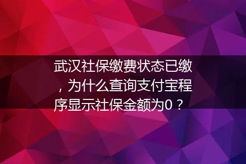 武汉社保缴费状态已缴，为什么查询支付宝程序显示社保金额为0？