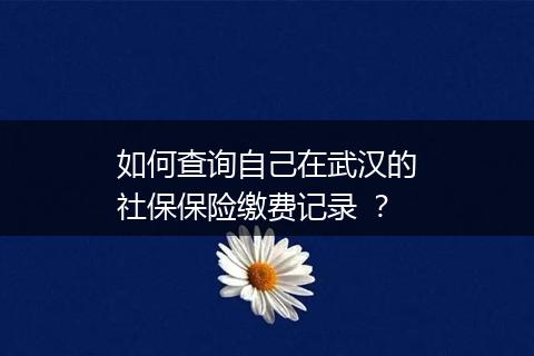 如何查询自己在武汉的社保保险缴费记录 ？