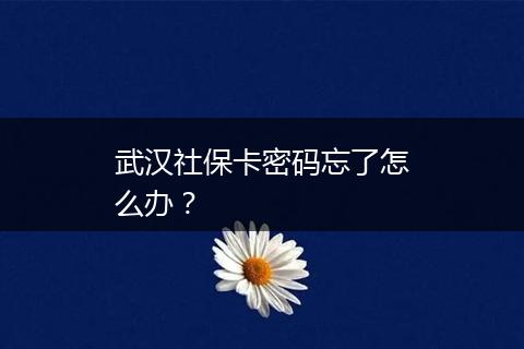 武汉社保卡密码忘了怎么办？