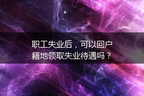 职工失业后，可以回户籍地领取失业待遇吗？