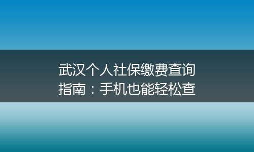 武汉个人社保缴费查询指南：手机也能轻松查