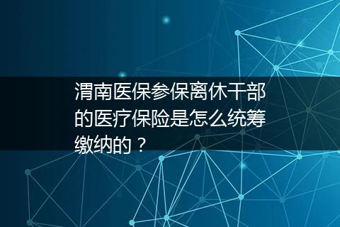 渭南医保参保离休干部的医疗保险是怎么统筹缴纳的？